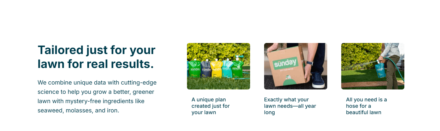 Sunday Lawn website image