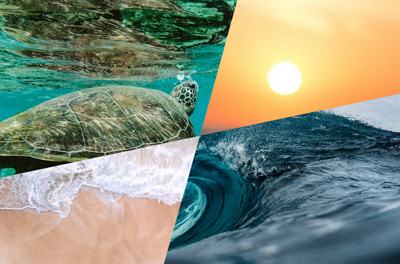 Make a video with images using the Edit API