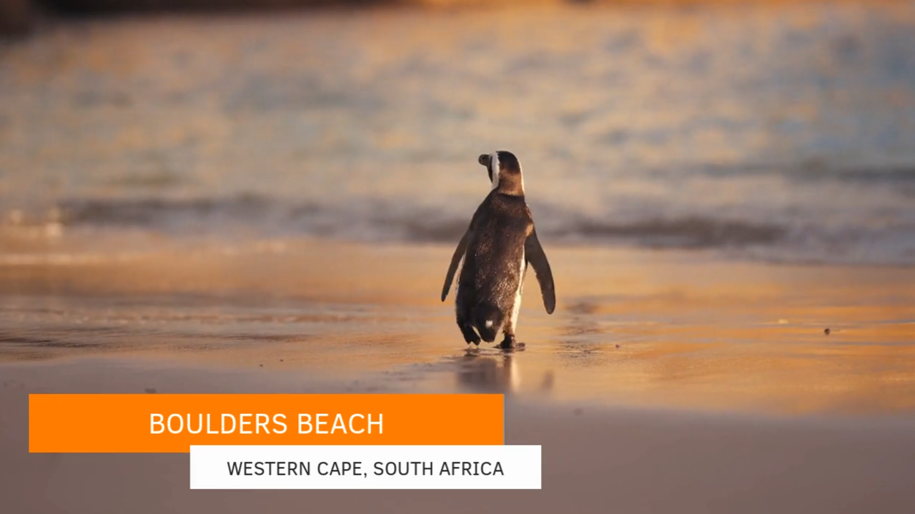 Create lower thirds using After Effects