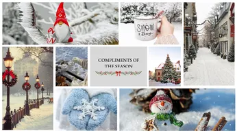 Festive Season's Greetings Promotional Template