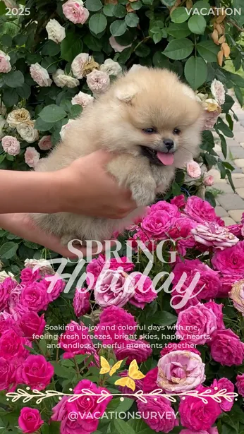 Vibrant Spring Holiday Promotion Template